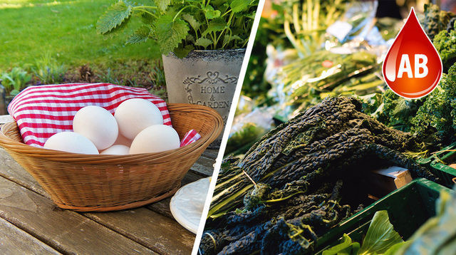 Kan grubuna göre beslenme modeli nedir? Nasıl yapılır? - Resim: 4