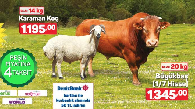 Kurbanlık fiyatları 2019 Migros, A101, Carrefoursa kaç para büyükbaş fiyat listesi - Resim: 2