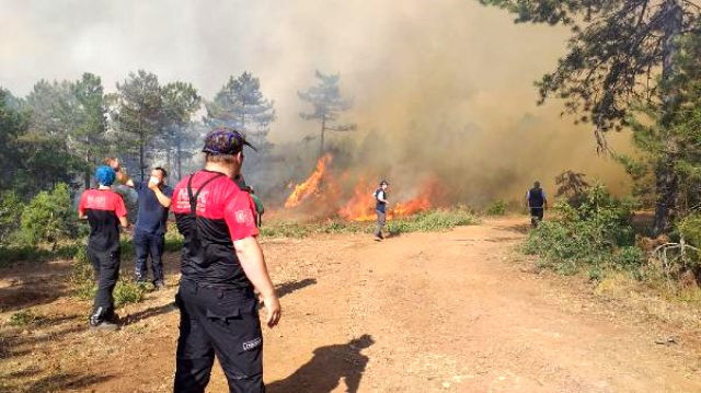 Saatler sonra kontrol altına alınan orman yangınında sabotaj şüphesi - Resim: 0