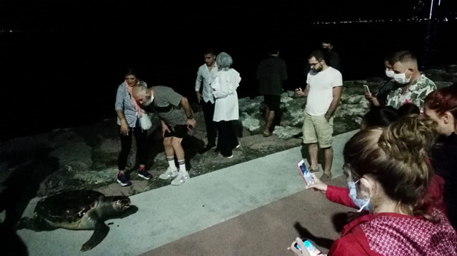 İzmir'de ölü caretta carettayı görüntüleyebilmek için birbirleriyle yarıştılar - Resim: 0