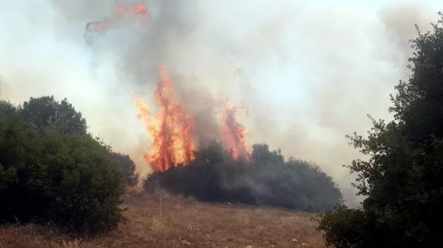 Kula'da makilik yangını ormana sıçradı! - Resim: 0