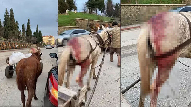 Edirne'deki vicdansızlığa büyük tepki! - Resim: 0