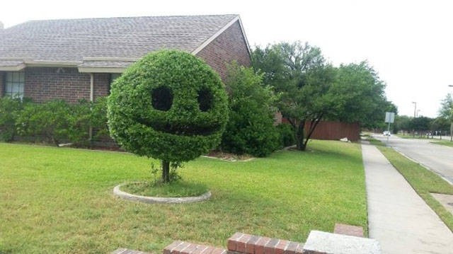 Günün en çok beğenilen fotoğrafları - Resim: 3