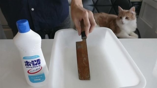 Bıçağın üzerine bulaşık deterjanı döktü bakın neler oldu - Resim: 4