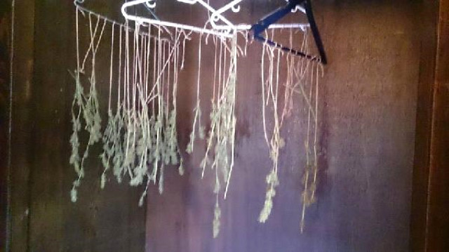 Selim Erdoğan'ı evindeki hassas terazi ele verdi - Resim: 2