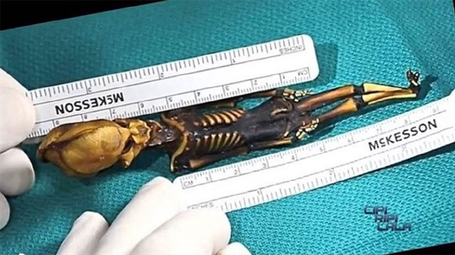 15 cm'lik iskeletin gizemi çözüldü! Kriz başladı - Resim: 1