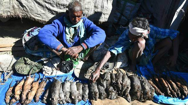 Pazarın en gözde ürünü! Pişmiş fare eti - Resim: 1