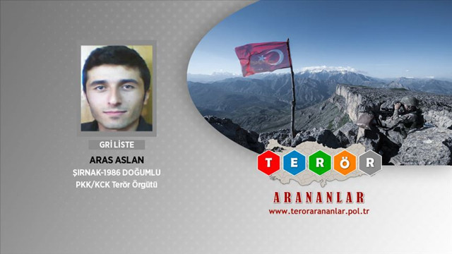 Giresun'da gri kategoride yer alan terörist yakalandı - Resim: 0