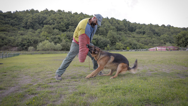 6 yıl önce polislikten istifa etti! 'hassas burun'lar onun elinde yetişiyor - Resim: 0