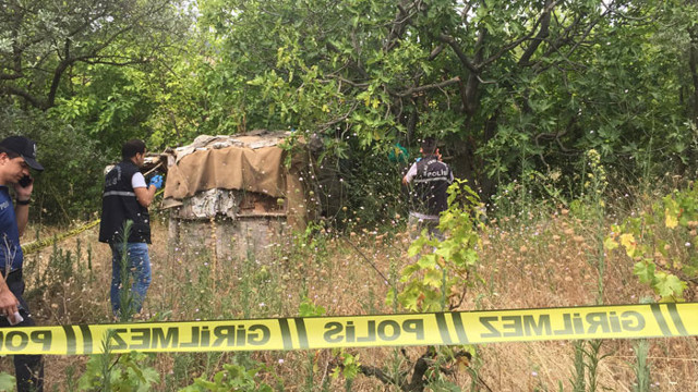 İncir toplamak için çıktı feci şekilde can verdi - Resim: 1