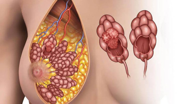 Uzman açıkladı: Yeniden meme yapılması öz güven kazandırılmasında çok faydalı - Resim: 2