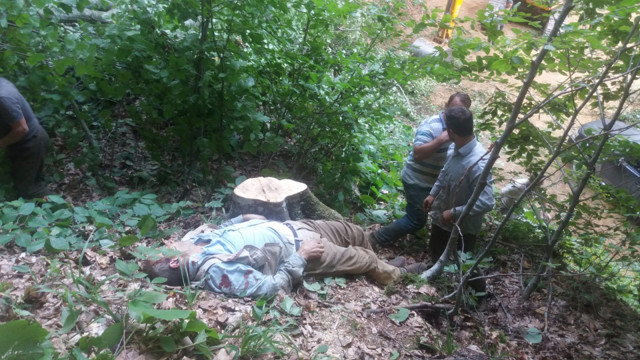 Bursa'da mevsimlik işçi kestiği ağacın dalının başına düşmesi sonucu öldü - Resim: 0