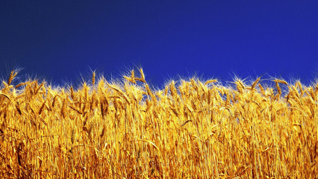 Dr. Levent Buda: Diyabetten korunmak için glikoz şurubuna dikkat... - Resim: 2