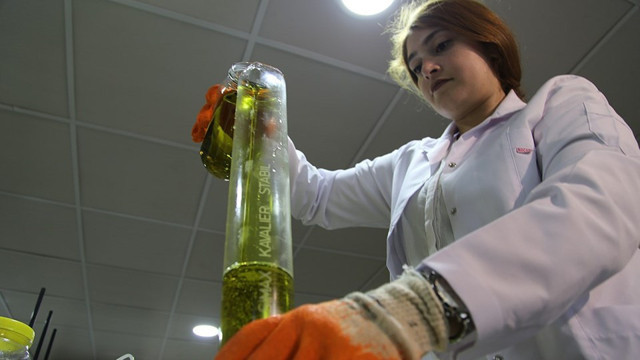 Şanlıurfa'da isottan sabun yaptılar bakın neye iyi geliyor - Resim: 0