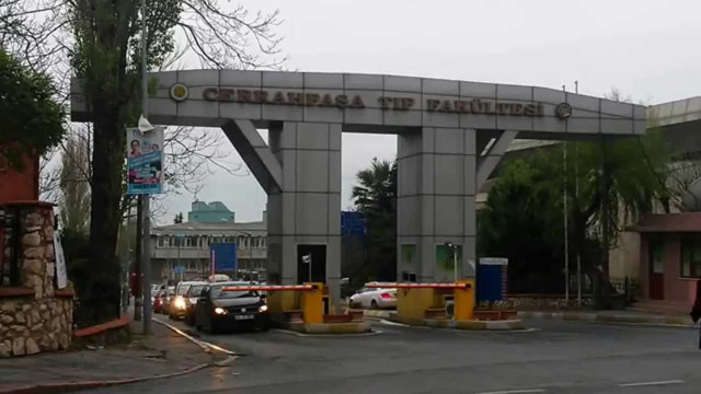 Cerrahpaşa'da Veteriner Fakültesi ve Sağlık Bilimleri Fakültesinde eğitime 20 gün ara - Resim: 0