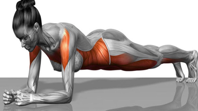 Plank