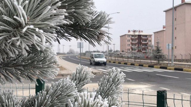 Kars Sarıkamış soğuktan kırağı tuttu sular dondu - Resim: 1