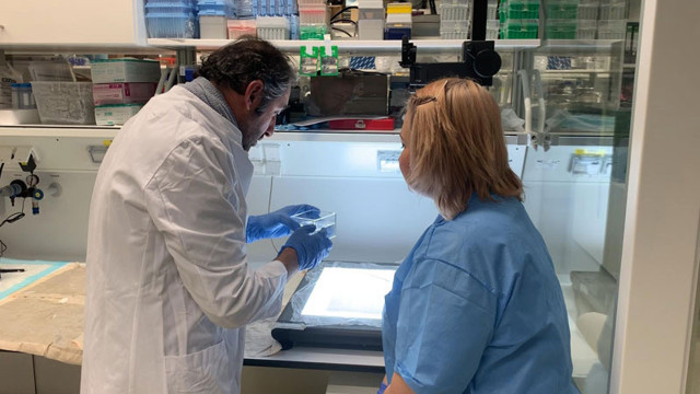 Türk doktor Ali Ertürk buldu kanser hastaları umutlandı - Resim: 0