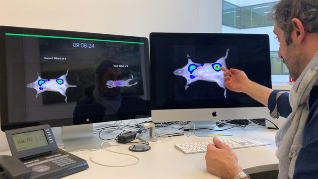 Türk doktor Ali Ertürk buldu kanser hastaları umutlandı - Resim: 1