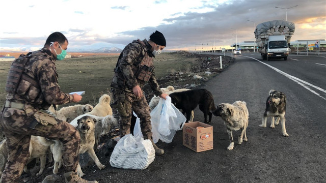 Kars'ta polis ekipleri kendi yemeğini sokak hayvanlarıyla paylaştı - Resim: 0
