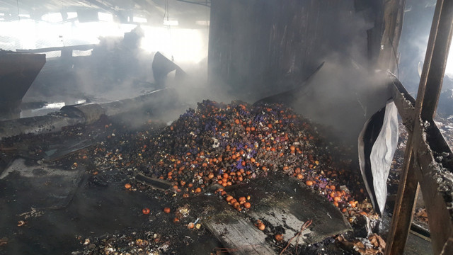 Düzce'de tavuk kümesi yandı 12 bin tavuk telef oldu - Resim: 1