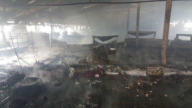 Düzce'de tavuk kümesi yandı 12 bin tavuk telef oldu - Resim: 0