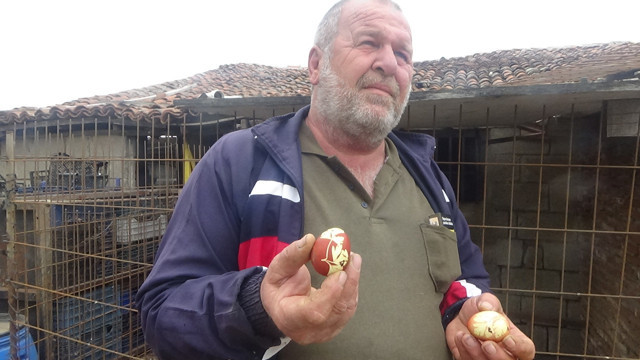 Çanakkale'de maydanoz yedirdiği tavuğu maydanoz desenli yumurta verdi - Resim: 2