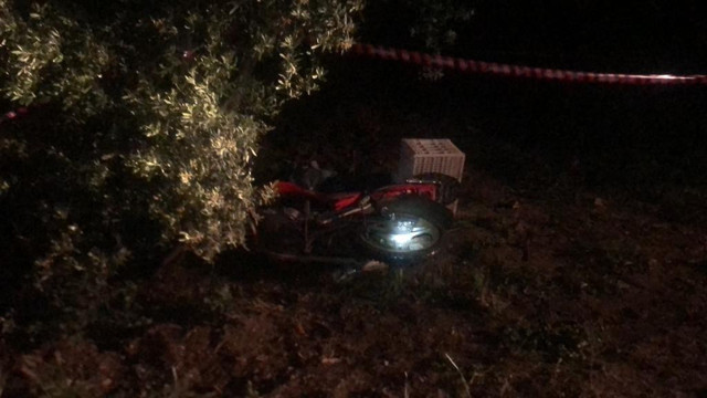 Bursa'da yaban domuzu sürücünün ölümüne sebep oldu - Resim: 1