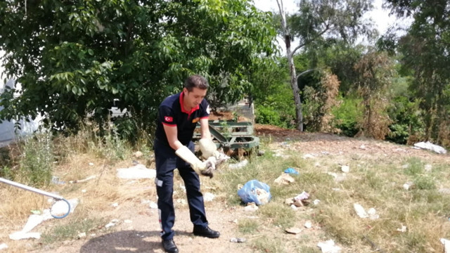 Adana'da itfaiye ekiplerinin küçük yaramazla mücadelesi - Resim: 2