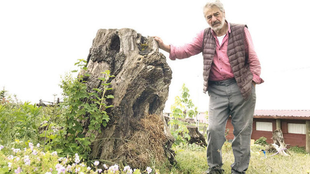 Berat Albayrak'ın babası Sadık Albayrak 1850 metrede Robinson Crusoe hayatı yaşıyor - Resim: 2