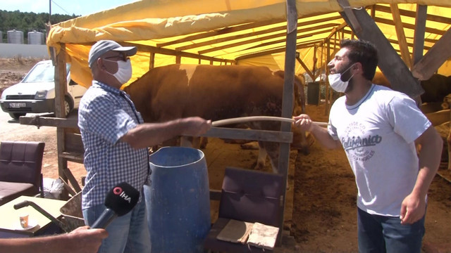 Kurban pazarlarındaki gizli risk! Uzmandan hayvanlarda 'kene' uyarısı - Resim: 0