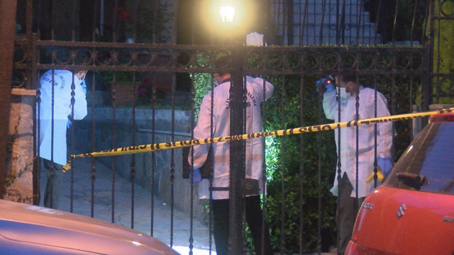 Sarıyer'de eşini ısıran köpeği katletti - Resim: 0