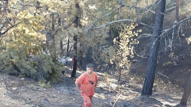 Bakan Bekir Pakdemirli Ankara'daki yangının kontrol altına alındığını duyurdu - Resim: 0