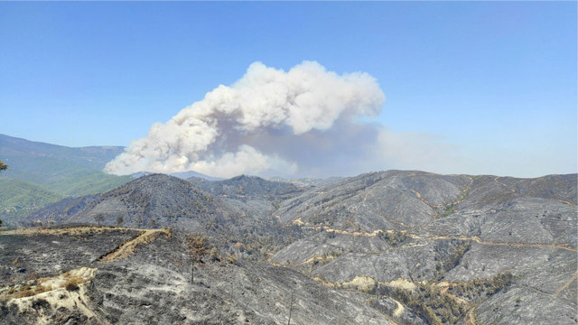 Hatay'da kontrol altına alınan yangın tekrar alevlendi - Resim: 0