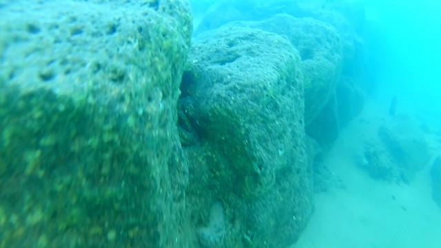 Van Gölü'nün derinliklerindeki yaşamın izleri araştırılıyor - Resim: 0