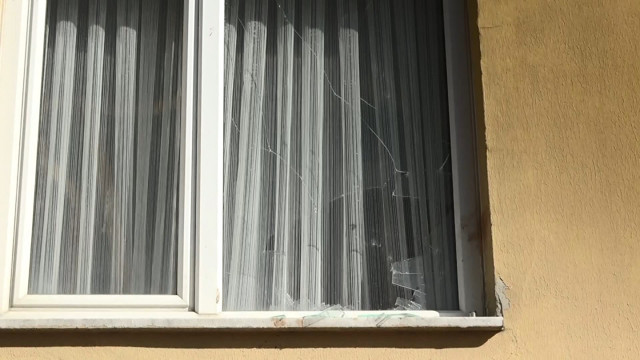 Beylikdüzü'nde öldürülen köpeklerin sahibi kan dondurdu: Gözümün önünde boğazını kesti - Resim: 1