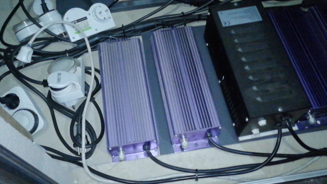 Mersin'de baskın yapılan ev şaşırttı: Uyuşturucu yetiştirmek için evi laboratuvara çevirmiş - Resim: 1