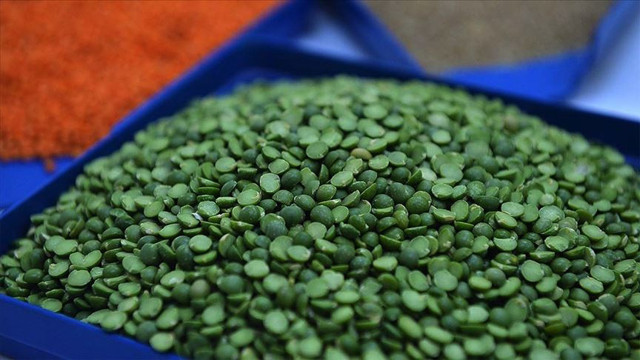 Türkiye ihtiyaç sahibi ülkelere tonlarca un ve bakliyat gönderecek - Resim: 0