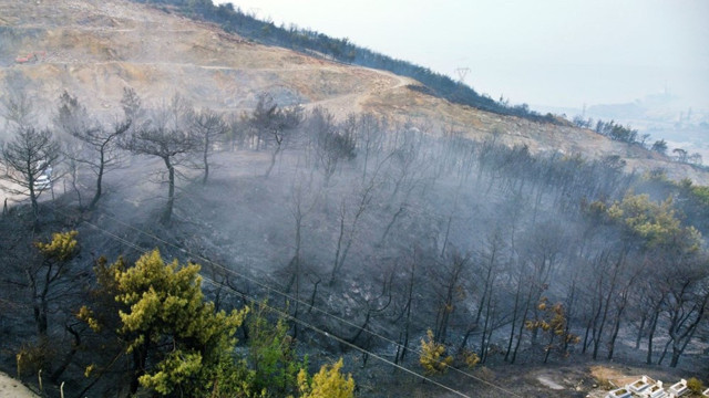 Hatay'daki yangına 2 gözaltı! 22 saat sonra kontrol altında - Resim: 1