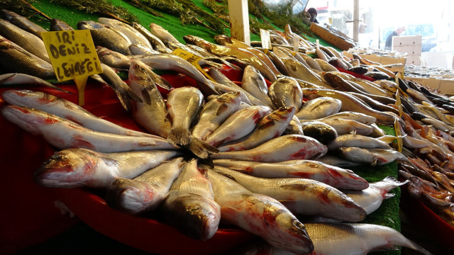 Van'da yediği balon balığından zehirlenen kişi hayatını kaybetti - Resim: 1