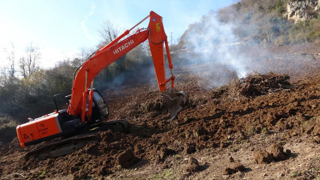 Trabzon'da böcek tehlikesi nedeniyle sökülen fındık bahçeleri tarlaya dönüşüyor - Resim: 0