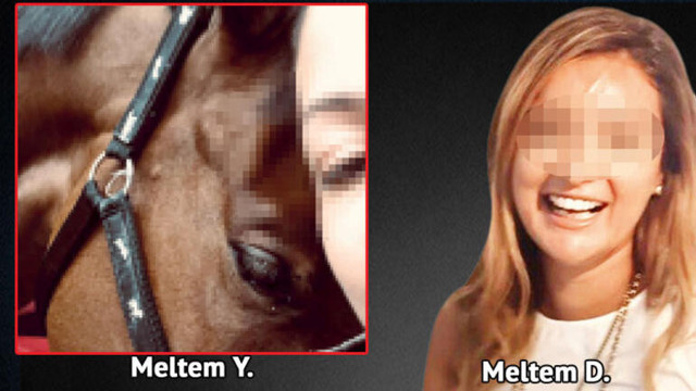 Türkiye Binicilik Federasyonu'nda yolsuzluk! Her şeyi tek tek itiraf etti - Resim: 0