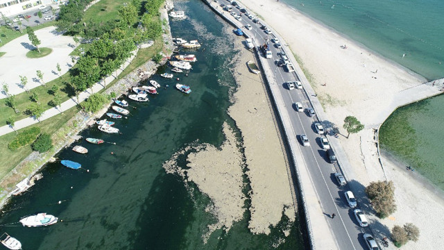 İstanbul Küçükçekmece açıklarında müsilaj adası oluştu - Resim: 1