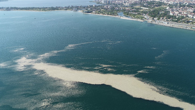 İstanbul Küçükçekmece açıklarında müsilaj adası oluştu - Resim: 0