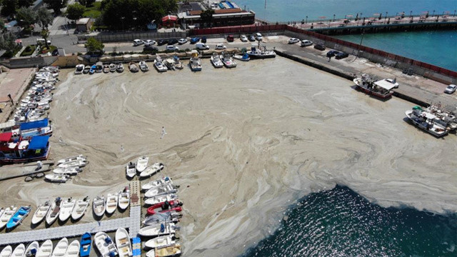 Tekirdağ'da sabah limana gelen balıkçılar gözlerine inanamadı - Resim: 0