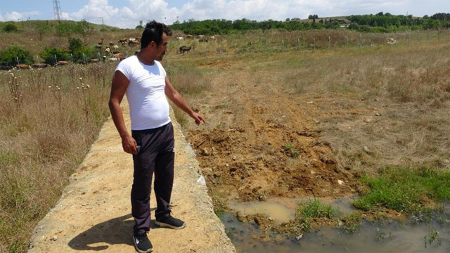 Ömerli Barajındaki ölü balıklar İSKİ ekiplerince iş makineleriyle barajın etrafına gömüldü - Resim: 0