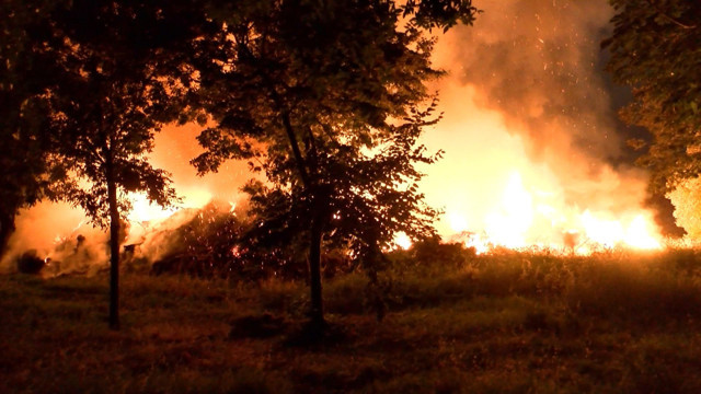 Bakırköy Ataköy'de aynı ağaçlık alanda 3 günde ikinci yangın - Resim: 0