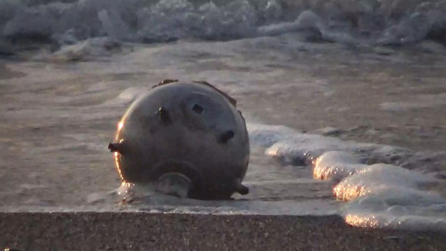 Düzce'de kıyıya vurdu ekipler alarma geçti! Rus yapımı mayın tetikleyicisi - Resim: 0