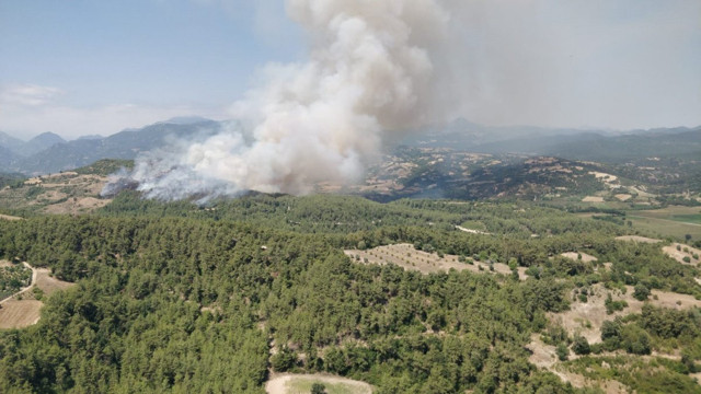 Osmaniye'de orman yangını - Resim: 0