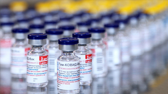 Vladimir Putin, Rus aşıların onayını geciktirenlere isyan etti: Anlamıyorum! - Resim: 0